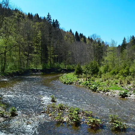 Spatzenparadies By Interhome Roetenbach (Friedenweiler)