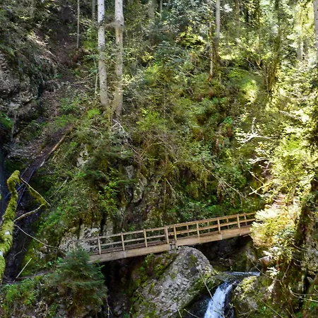 Spatzenparadies By Interhome Apartment *