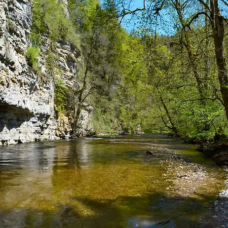 Apartment Spatzenparadies By Interhome Roetenbach (Friedenweiler)
